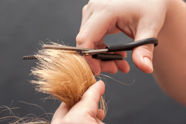 Larangan Kurban memotong rambut dan kuku untuk pekurban